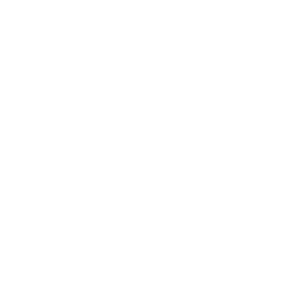 Social & Wellness Programs